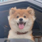 别管我