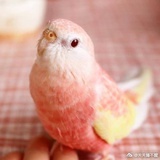 太阳印花