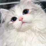 阿恒