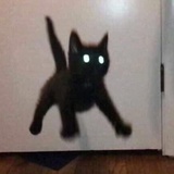 Unico