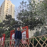 沈强强