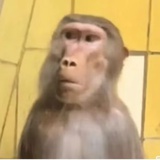 魔法披风🐒