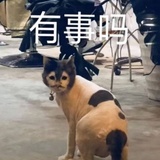 管⁢⁢理⁢员