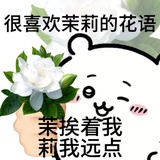小猫咪数星星