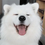 吃瓜崽子