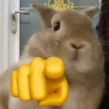 kgojxitclxj