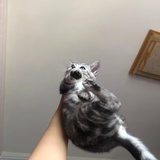 就是K