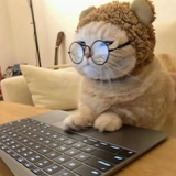 伯牙绝弦