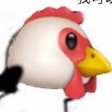在做鸡