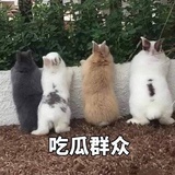 早睡早起身体好
