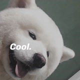 我的哇哈哈呢