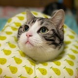 三月