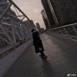 头像的BOSS