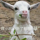 哎