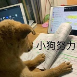 拜可甜辣牛肉酱
