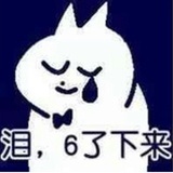 仁川甜心金小狸