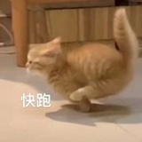 吃火锅必点炒饭