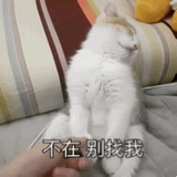 不知名魔法师