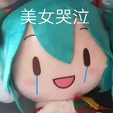 嗑药永动鸡