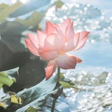 白日梦尽头