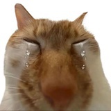 🙂‍↔