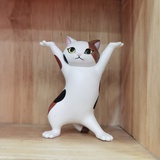 surxyc