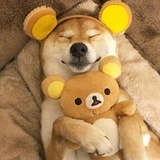 许百一