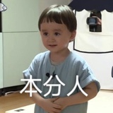 大飞豆子