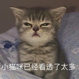 R1SE-刘能