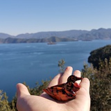 阿斯匹林