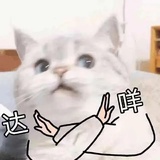 哒咩
