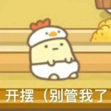 一条猫