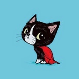 倔强的猫🈵🈵