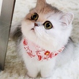 瞬