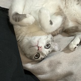 吃午饭了吗