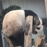 天天上课的瓜农