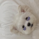 椒盐土豆条