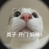 天天开心哦！