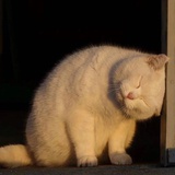 明！