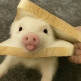 为我花生