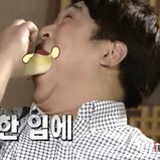 布丁狗