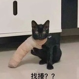 对抗地心引力