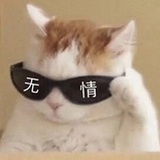 让我看看