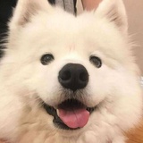 今天去哪儿玩