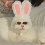 麻面多须郎