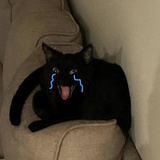 nono