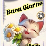 buongiorno