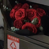 一朵玫瑰的坠亡