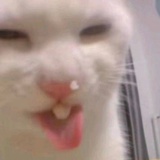 大还丹