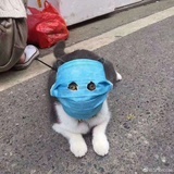 正月初十